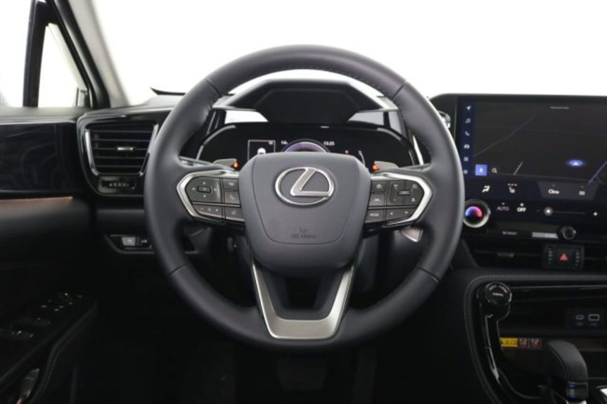 Lexus NX Hybrid 4WD Premium (13)