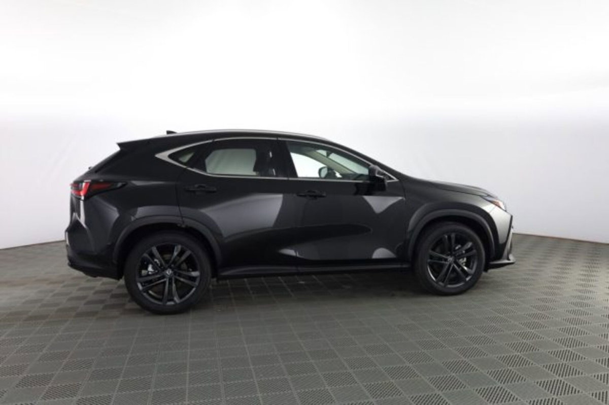 Lexus NX Hybrid 4WD Premium (3)