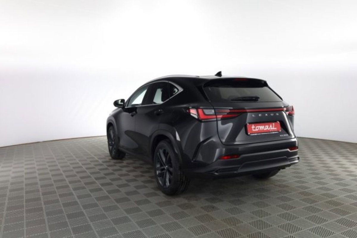 Lexus NX Hybrid 4WD Premium (6)