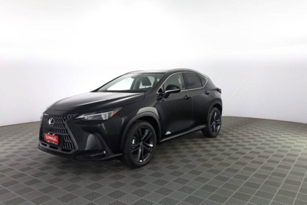 Lexus NX Hybrid 4WD Premium (8)