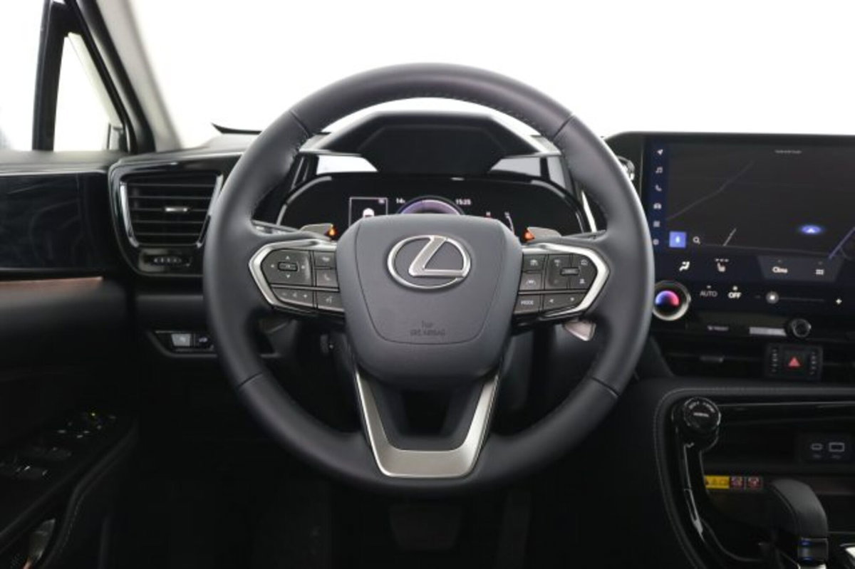 Lexus NX Hybrid 4WD Premium (13)