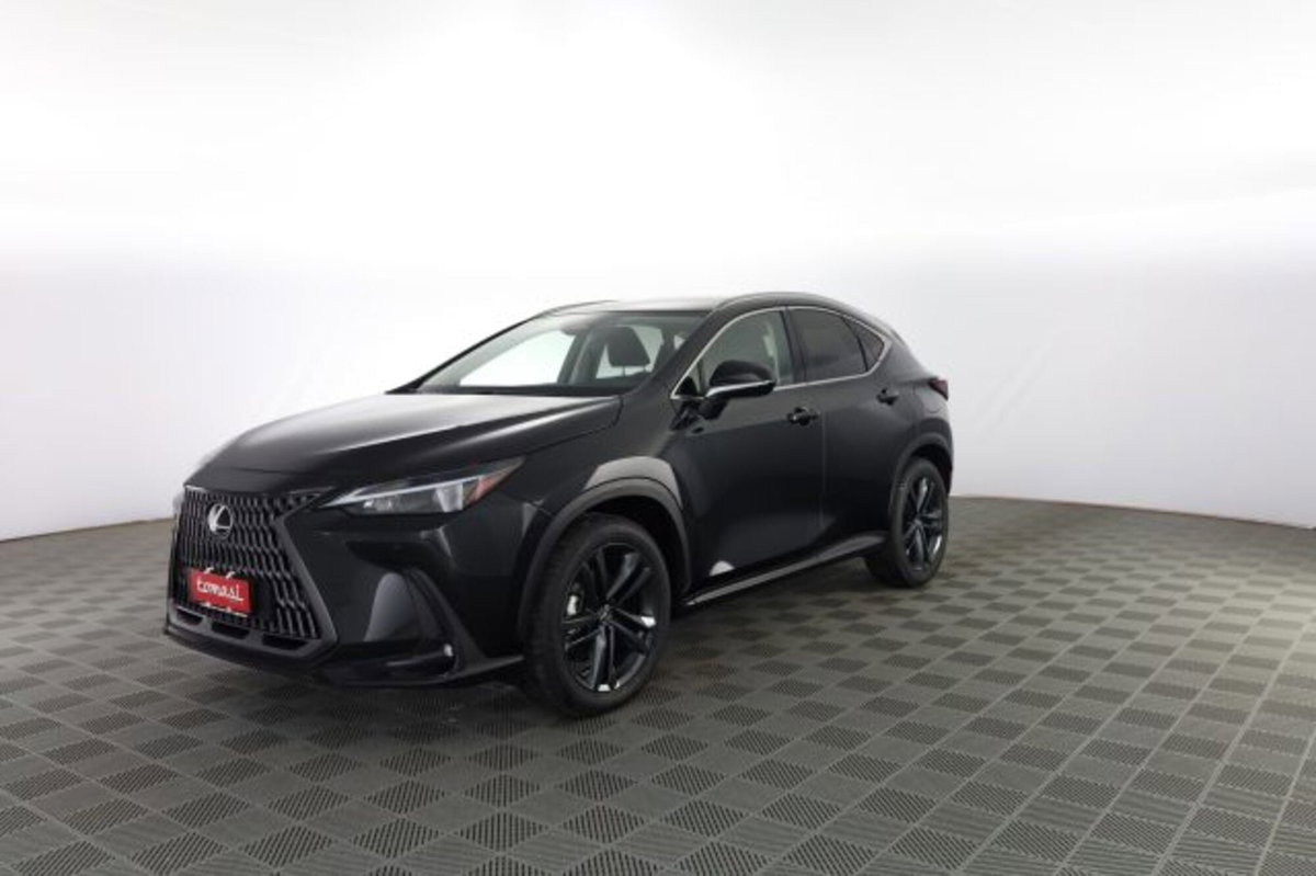Lexus NX Hybrid 4WD Premium (8)