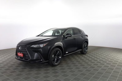 Lexus NX Hybrid 4WD Premium (8)
