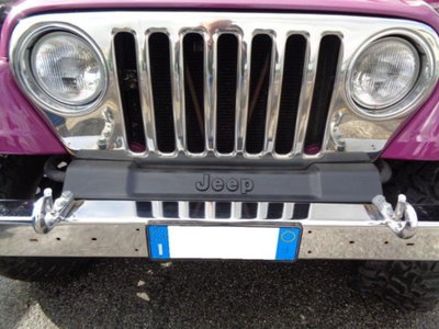 Jeep Wrangler 4.0 cat Hard top (EU) (14)
