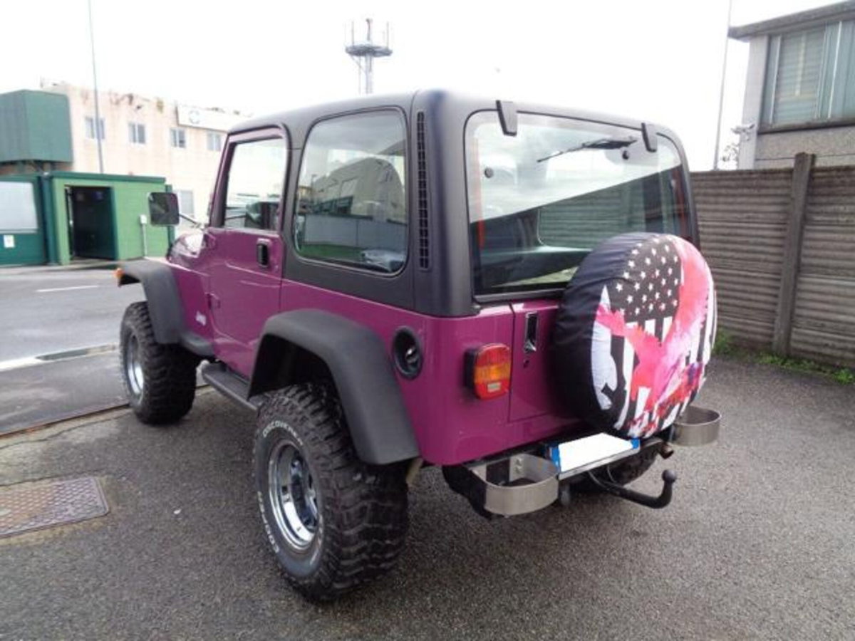 Jeep Wrangler 4.0 cat Hard top (EU) (3)