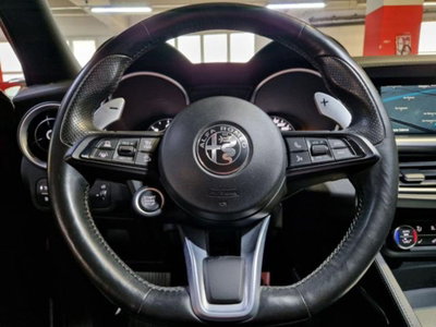 Alfa Romeo Stelvio Stelvio 2.2 Turbodiesel 210 CV AT8 Q4 Veloce (10)