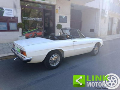 Alfa Romeo Spider 1.6 Junior (16)