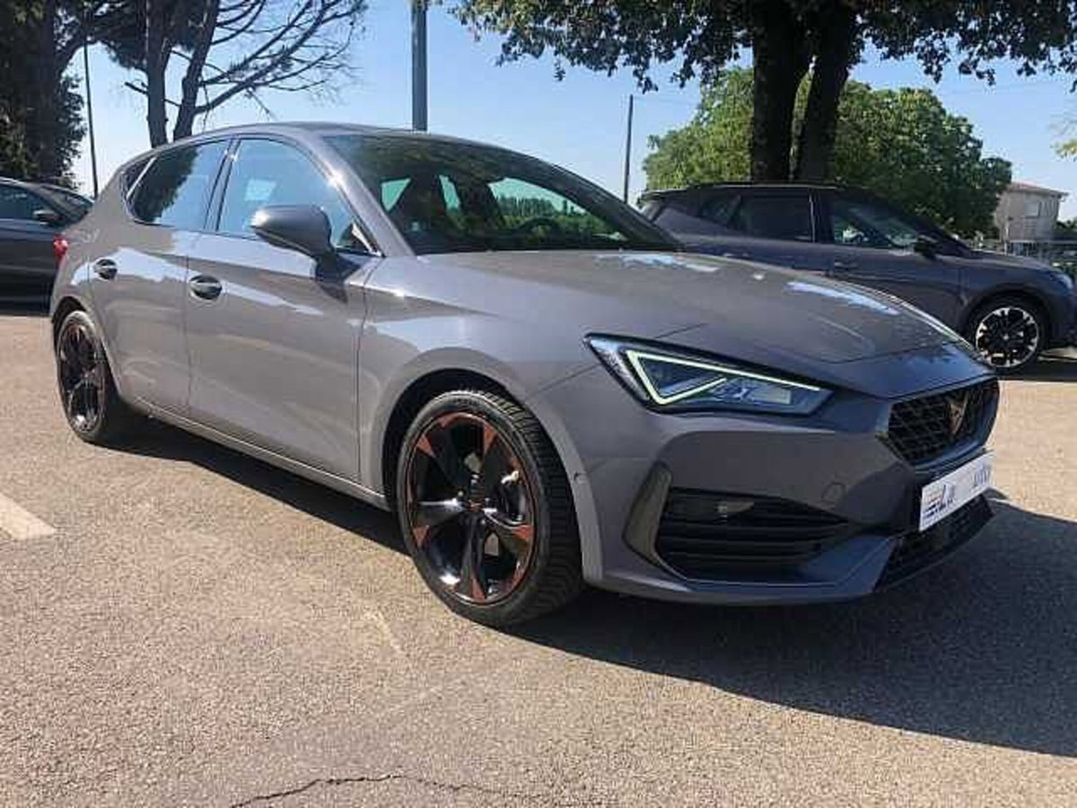 Cupra Leon Leon 2.0 tdi 150cv dsg (7)
