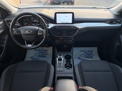 Ford Focus Station Wagon 1.5 EcoBlue 120 CV automatico SW Business Co-Pilot (12)