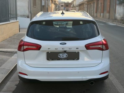 Ford Focus Station Wagon 1.5 EcoBlue 120 CV automatico SW Business Co-Pilot (5)