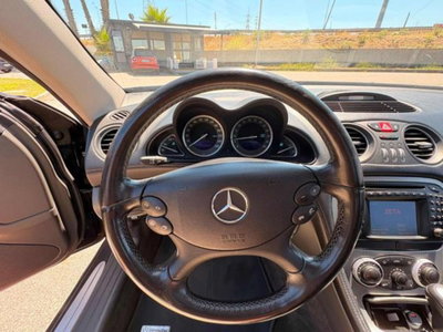 Mercedes-Benz SL 350 cat (11)