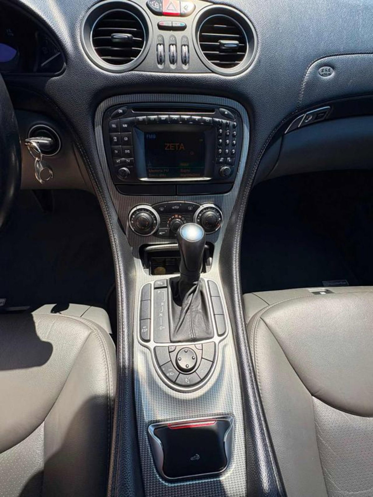 Mercedes-Benz SL 350 cat (14)