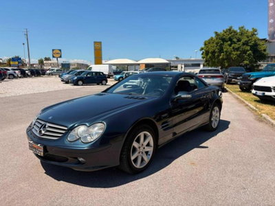 Mercedes-Benz SL 350 cat (2)