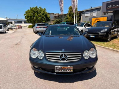 Mercedes-Benz SL 350 cat (3)
