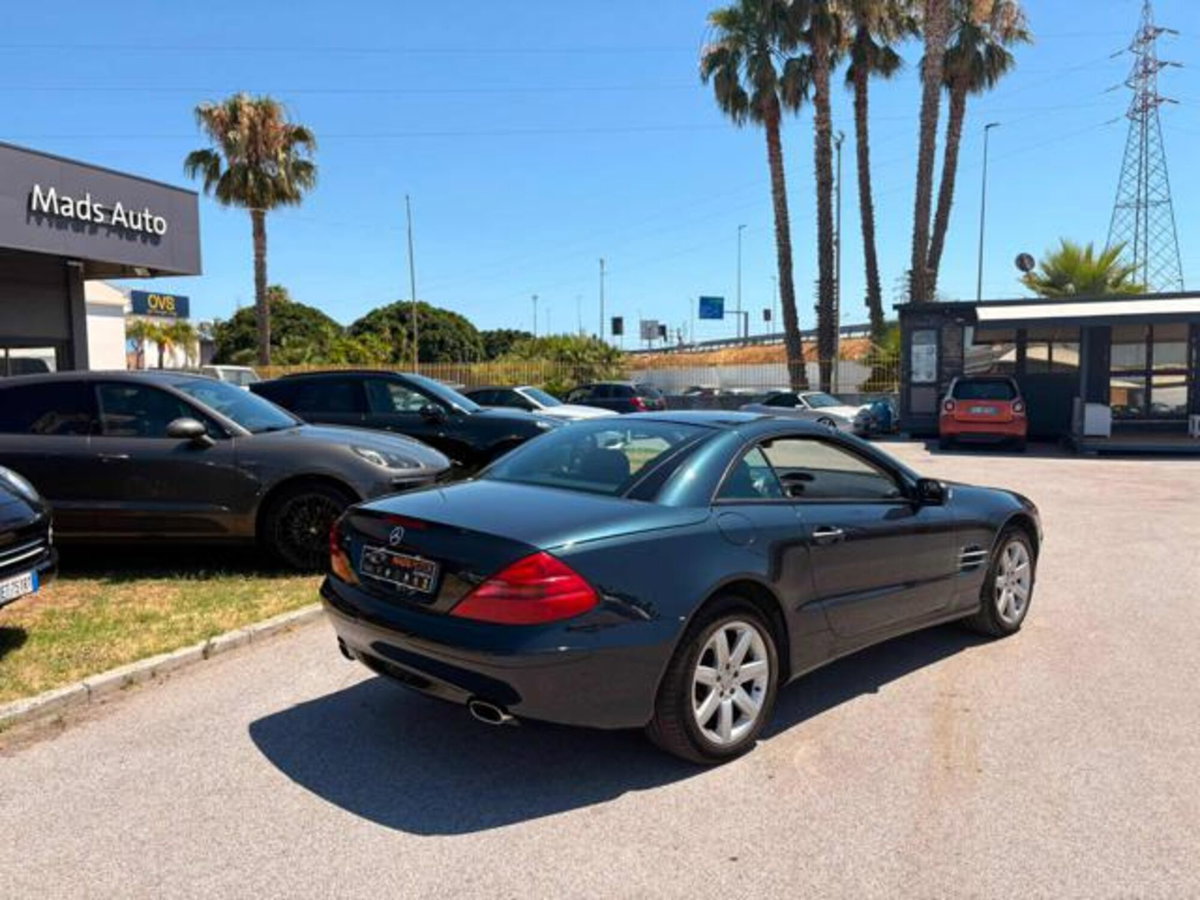 Mercedes-Benz SL 350 cat (4)