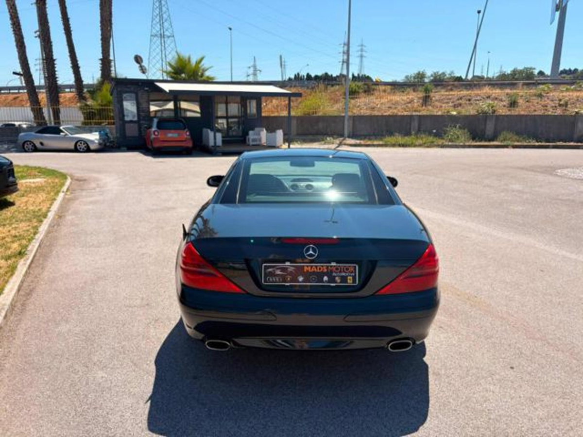 Mercedes-Benz SL 350 cat (5)