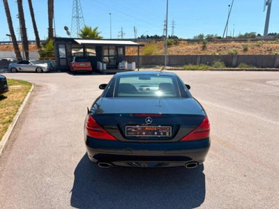 Mercedes-Benz SL 350 cat (5)