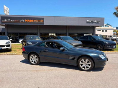 Mercedes-Benz SL 350 cat (6)