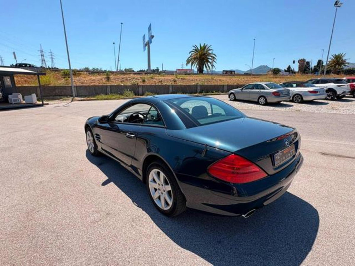 Mercedes-Benz SL 350 cat (7)