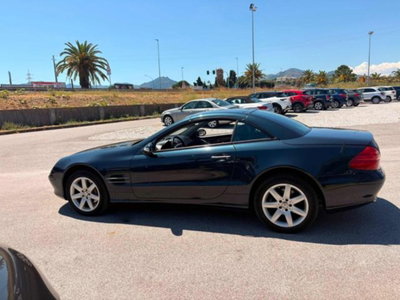Mercedes-Benz SL 350 cat (8)