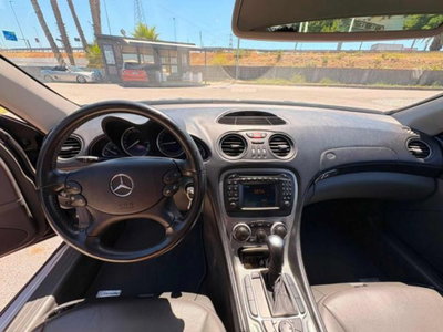 Mercedes-Benz SL 350 cat (9)