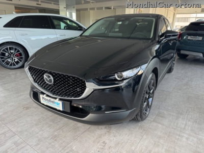 Mazda CX-30 e-Skyactiv-G M Hybrid 2WD Homura (16)