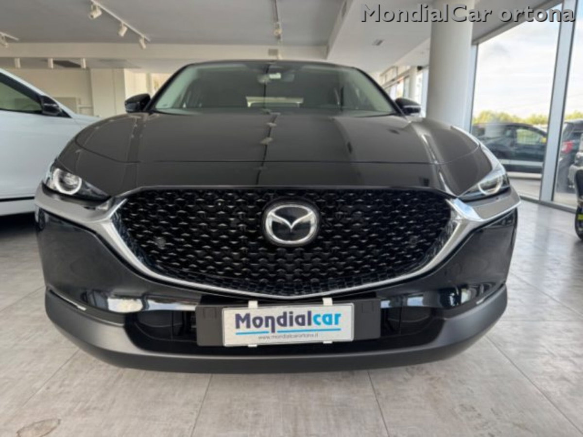 Mazda CX-30 e-Skyactiv-G M Hybrid 2WD Homura (17)