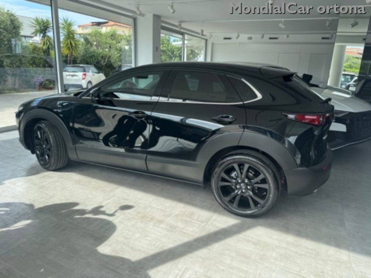 Mazda CX-30 e-Skyactiv-G M Hybrid 2WD Homura (18)