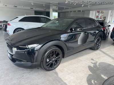 Mazda CX-30 e-Skyactiv-G M Hybrid 2WD Homura (19)