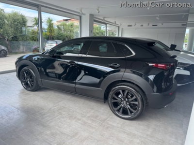 Mazda CX-30 e-Skyactiv-G M Hybrid 2WD Homura (2)