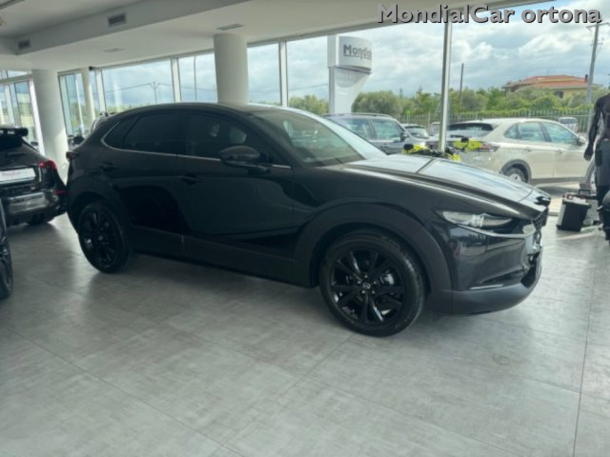 Mazda CX-30 e-Skyactiv-G M Hybrid 2WD Homura (20)