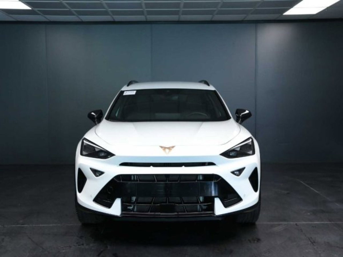 Cupra Formentor Formentor 1.5 TSI (2)