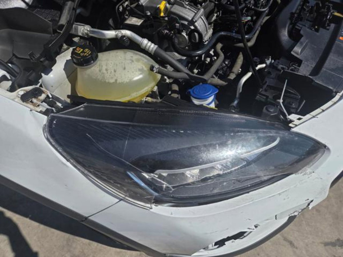 Ford Fiesta 1.0 Ecoboost Hybrid 125 CV DCT 5 porte Active (20)
