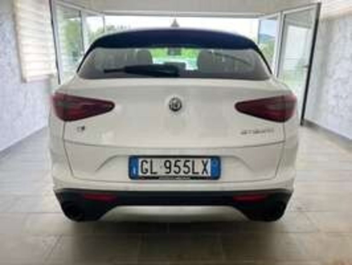 Alfa Romeo Stelvio Stelvio 2.2 Turbodiesel 190 CV AT8 Q4 Super Business (5)