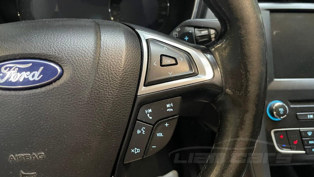 Ford Mondeo Station Wagon 2.0 EcoBlue 150 CV S&S aut. SW ST-Line Business (16)