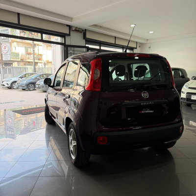 Fiat Panda 1.2 EasyPower Easy (6)