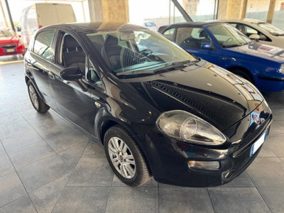 Fiat Punto 1.2 8V 5 porte Street usata