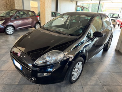 Fiat Punto 1.2 8V 5 porte Street (10)