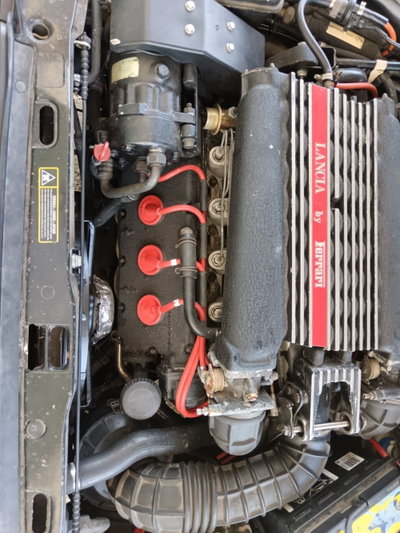 Lancia Thema cat (12)