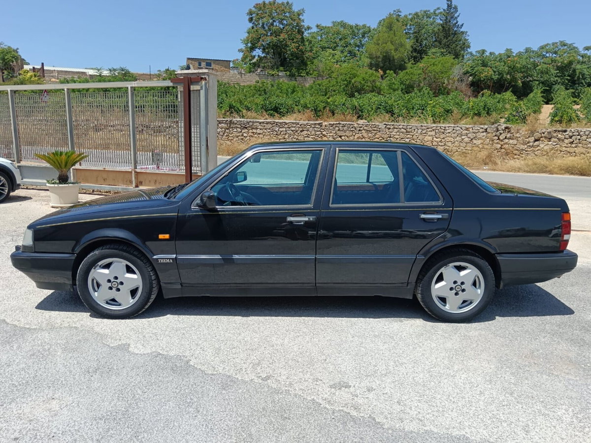 Lancia Thema cat (2)