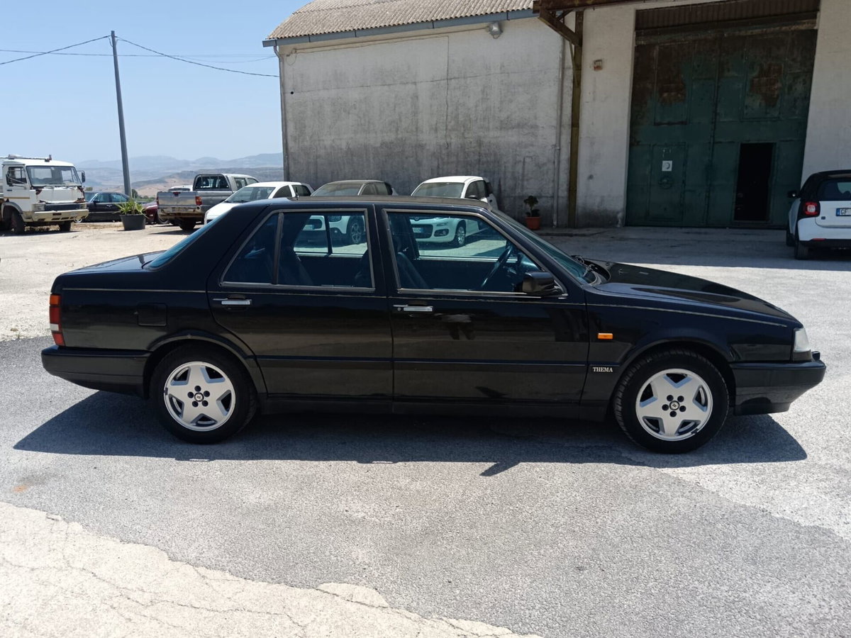 Lancia Thema cat (9)