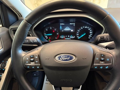 Ford Focus 1.5 EcoBlue 120 CV automatico 5p. Business Co-Pilot (11)