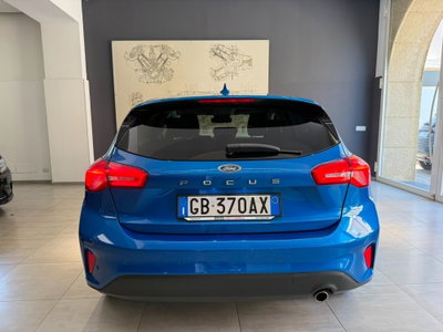 Ford Focus 1.5 EcoBlue 120 CV automatico 5p. Business Co-Pilot (6)