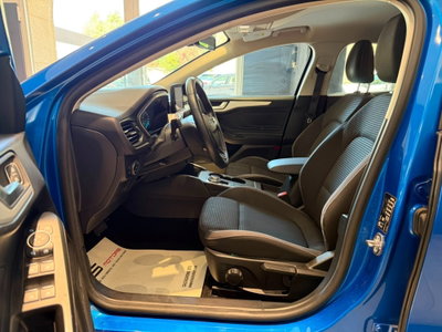 Ford Focus 1.5 EcoBlue 120 CV automatico 5p. Business Co-Pilot (8)