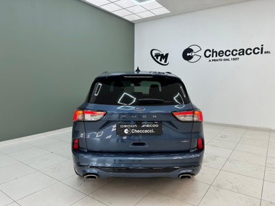Ford Kuga 2.5 Plug In Hybrid 225 CV CVT 2WD ST-Line (7)