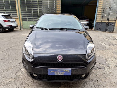 Fiat Punto 1.3 MJT II 75 CV 5 porte Street (2)