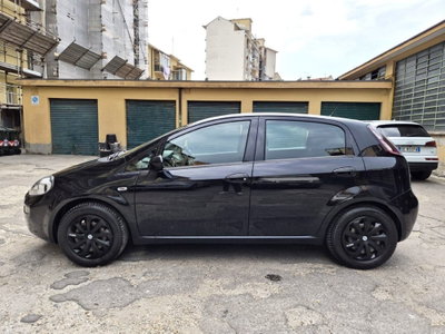 Fiat Punto 1.3 MJT II 75 CV 5 porte Street (7)
