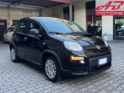 Fiat Panda 1.0 FireFly S&S Hybrid (3)