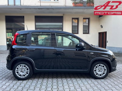 Fiat Panda 1.0 FireFly S&S Hybrid (4)
