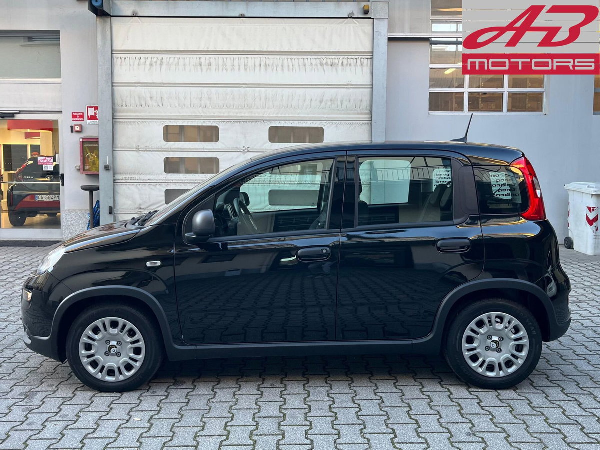 Fiat Panda 1.0 FireFly S&S Hybrid (8)